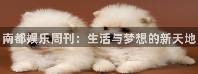 富邦娱乐