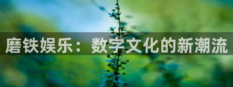 富邦娱乐