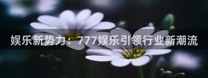 富邦娱乐